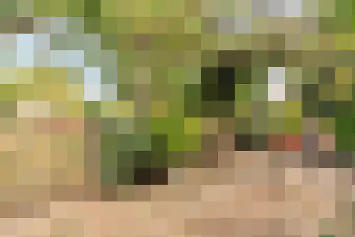 Kasennerweg 11 Bunde thumbnail 29