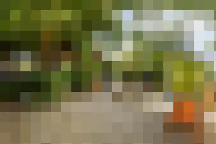 Kasennerweg 11 Bunde thumbnail 30