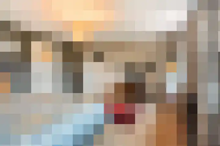 Kasennerweg 11 Bunde thumbnail 33