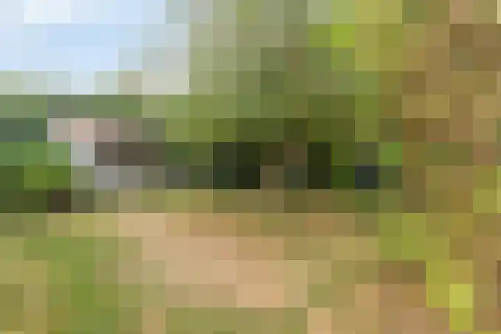 Kasennerweg 11 Bunde thumbnail 44