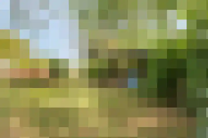 Kasennerweg 11 Bunde thumbnail 45