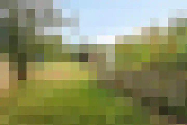 Kasennerweg 11 Bunde thumbnail 46