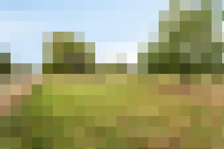 Kasennerweg 11 Bunde thumbnail 47