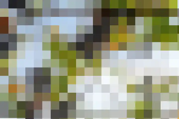 Kasennerweg 11 Bunde thumbnail 48