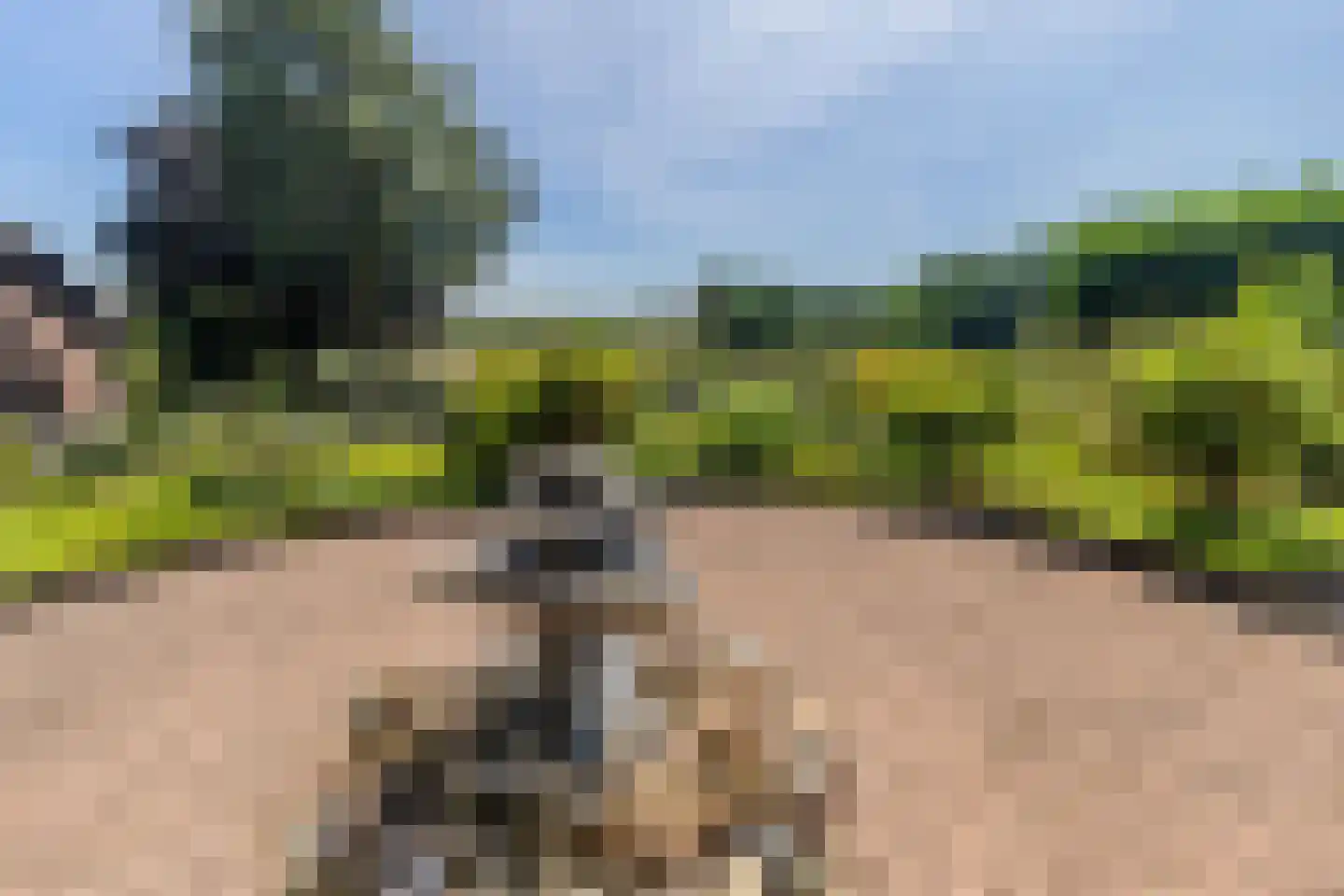 Kasennerweg 12 a Bunde thumbnail 31