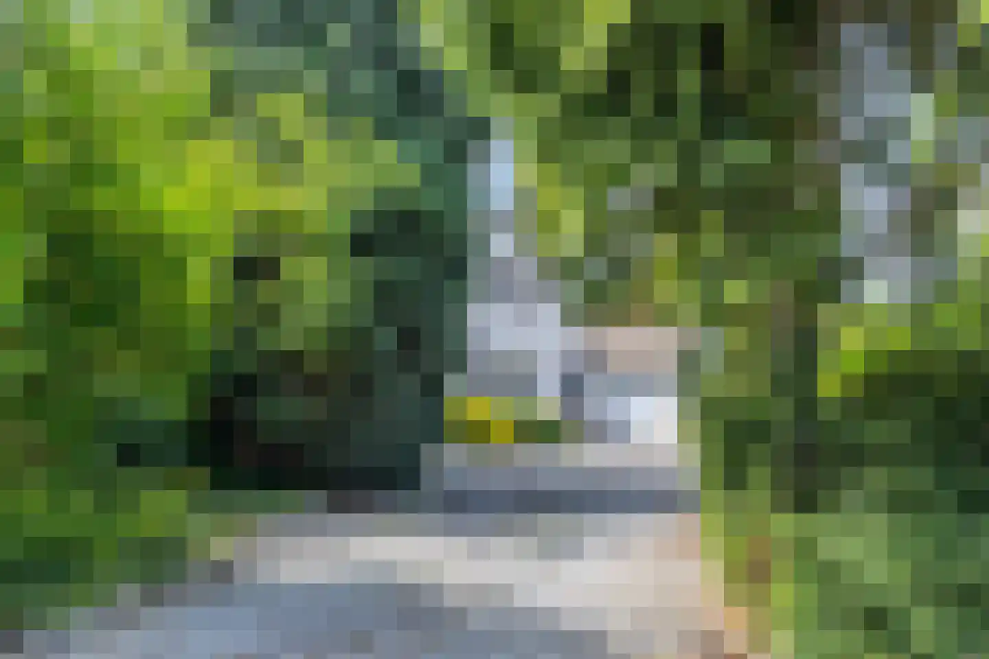 Kasennerweg 12 a Bunde thumbnail 6