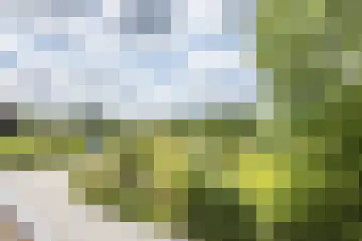 Kasennerweg 8 Bunde thumbnail 21