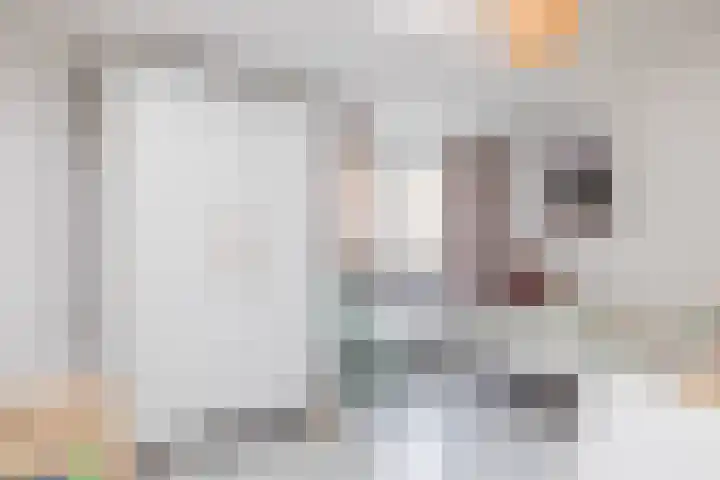 Kasennerweg 8 Bunde thumbnail 22