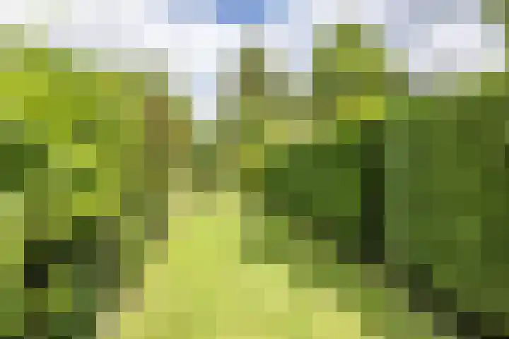 Kasennerweg 8 Bunde thumbnail 28