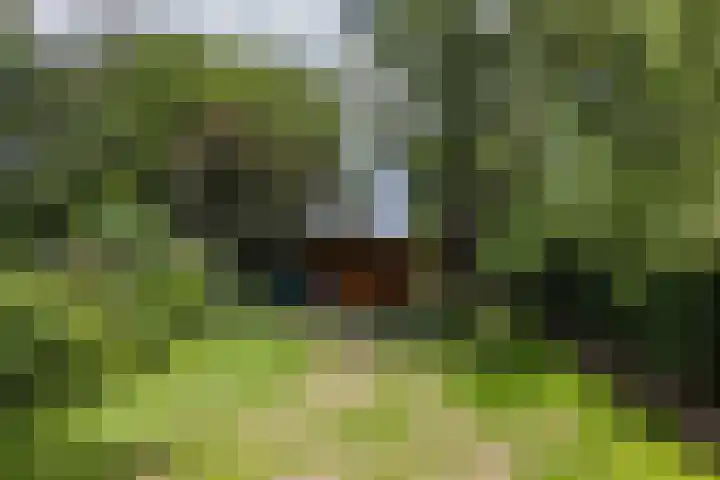 Kasennerweg 8 Bunde thumbnail 32