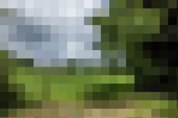 Kasennerweg 8 Bunde thumbnail 33