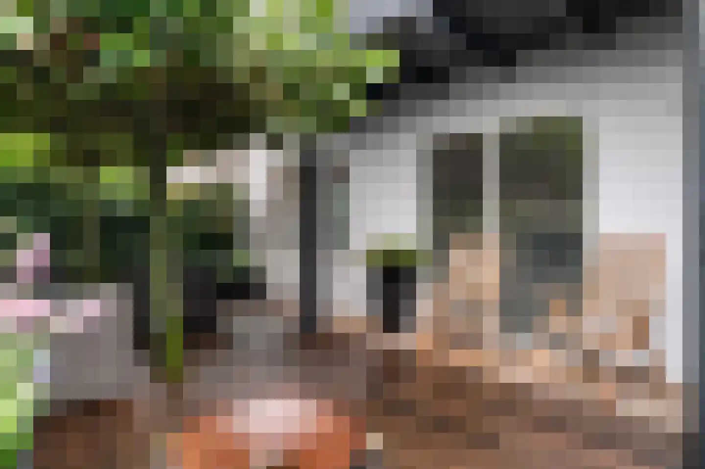Kaspar Karsenstraat 25 Deventer thumbnail 48