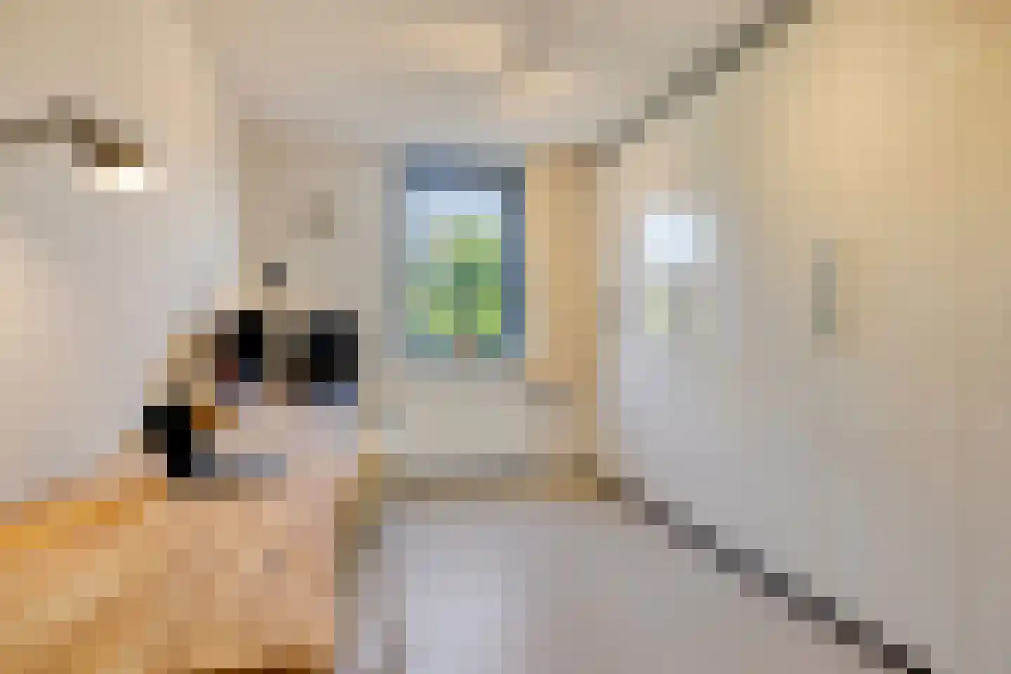 Kaspar Karsenstraat 8 Deventer thumbnail 16
