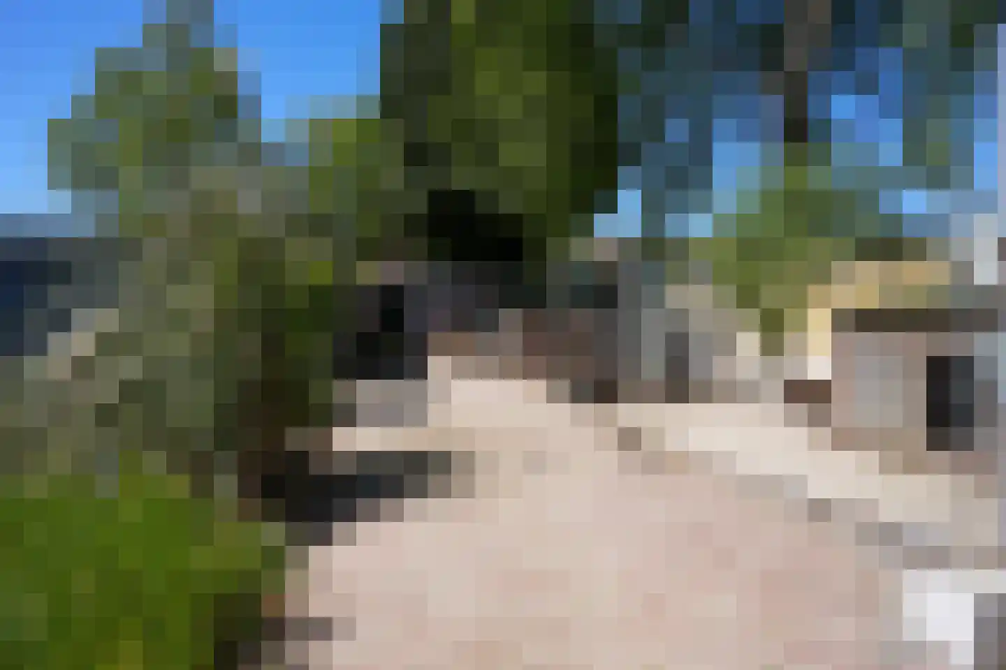 Kasperenstraat 29 Kerkrade thumbnail 22