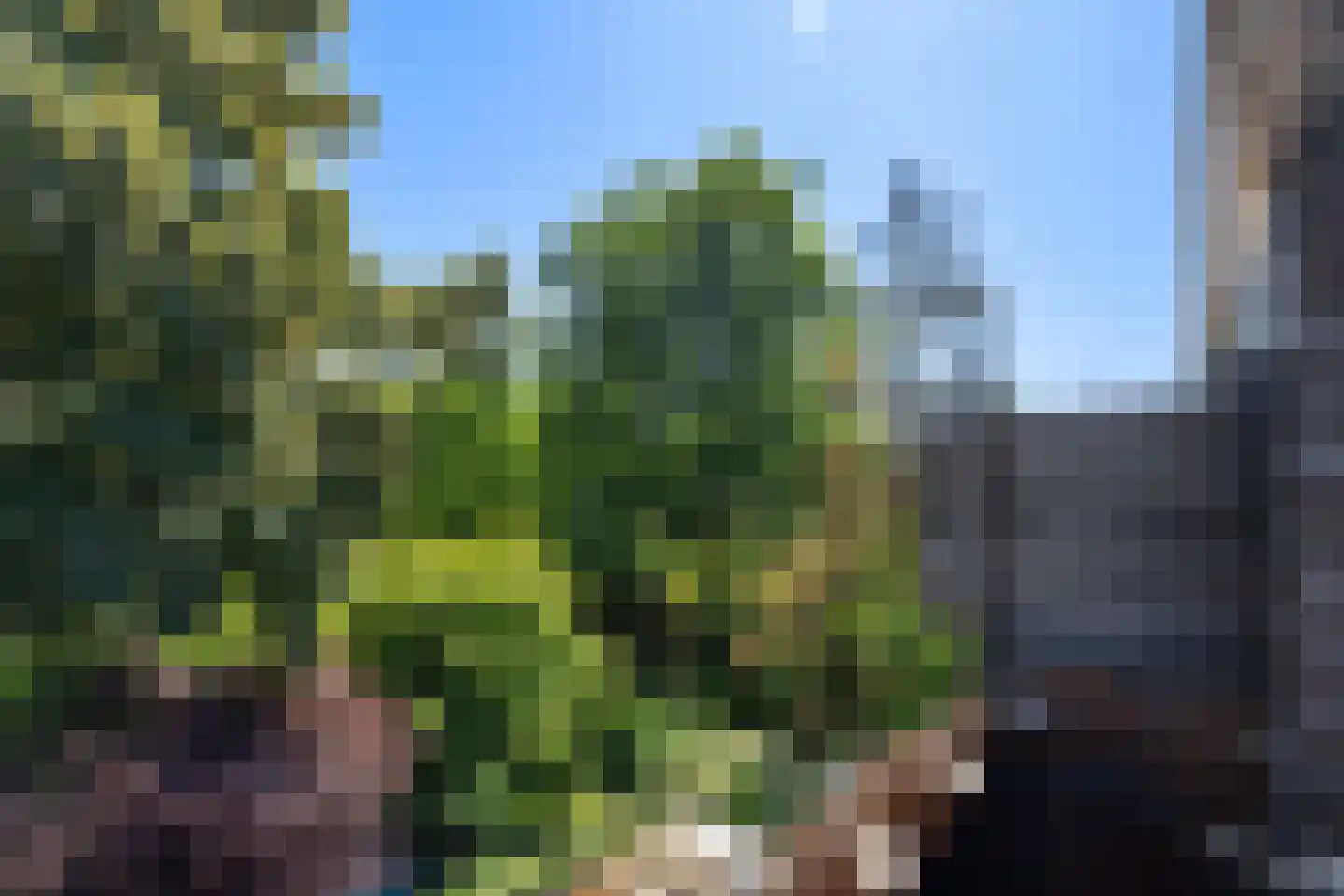 Kasperspad 78 Dordrecht thumbnail 14