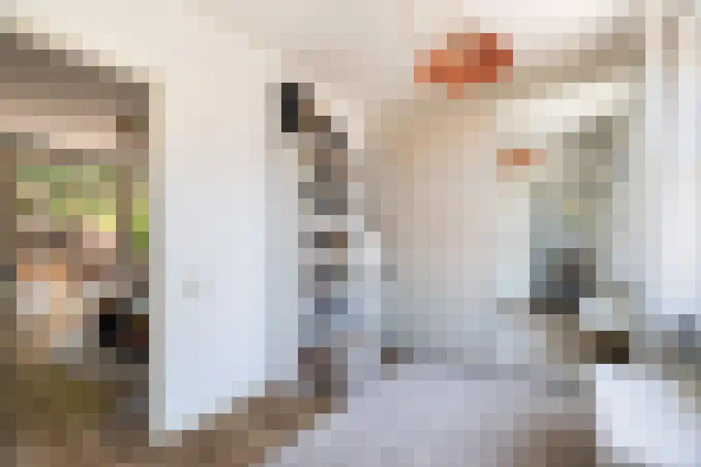 Kasperspad 78 Dordrecht thumbnail 15