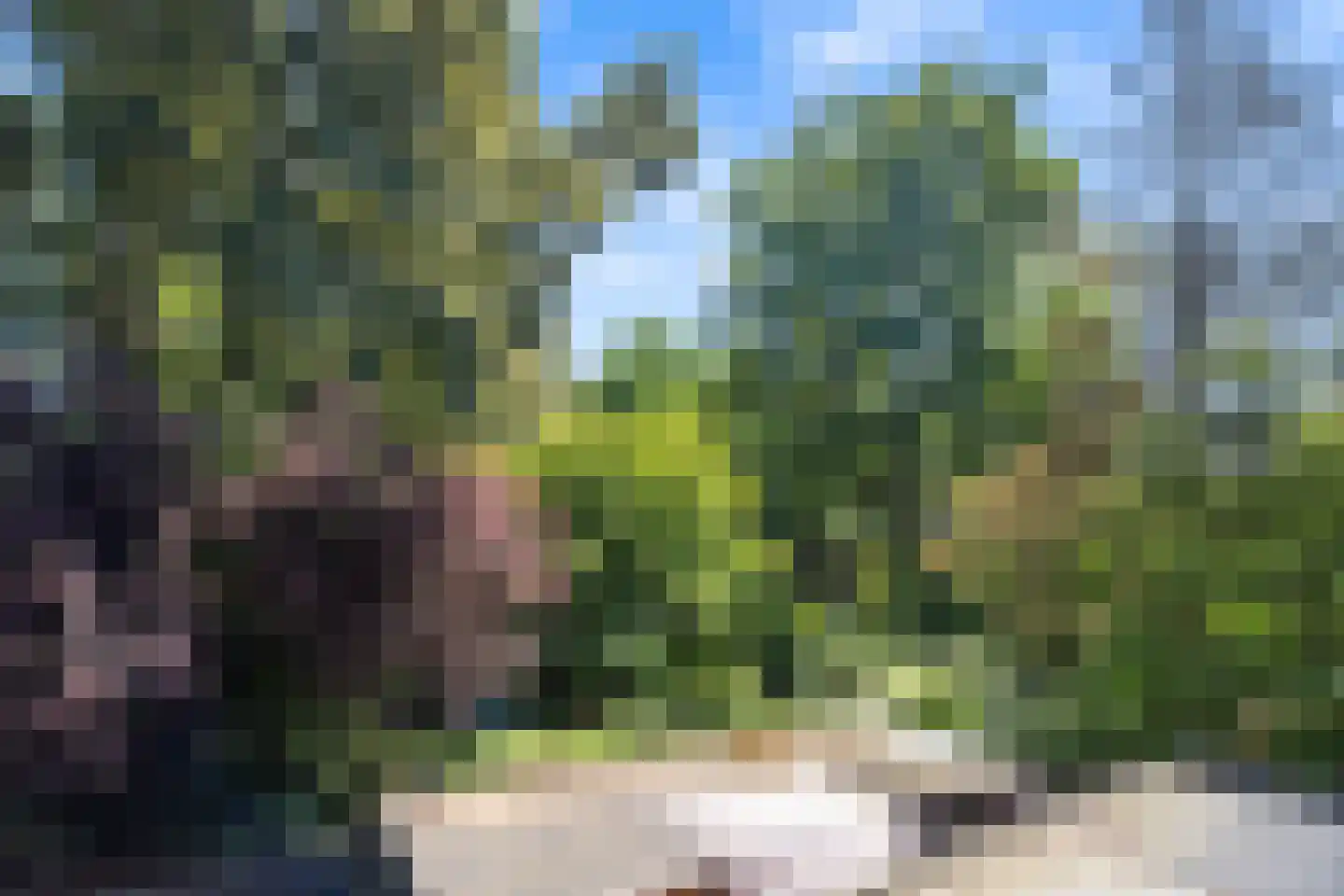 Kasperspad 78 Dordrecht thumbnail 36