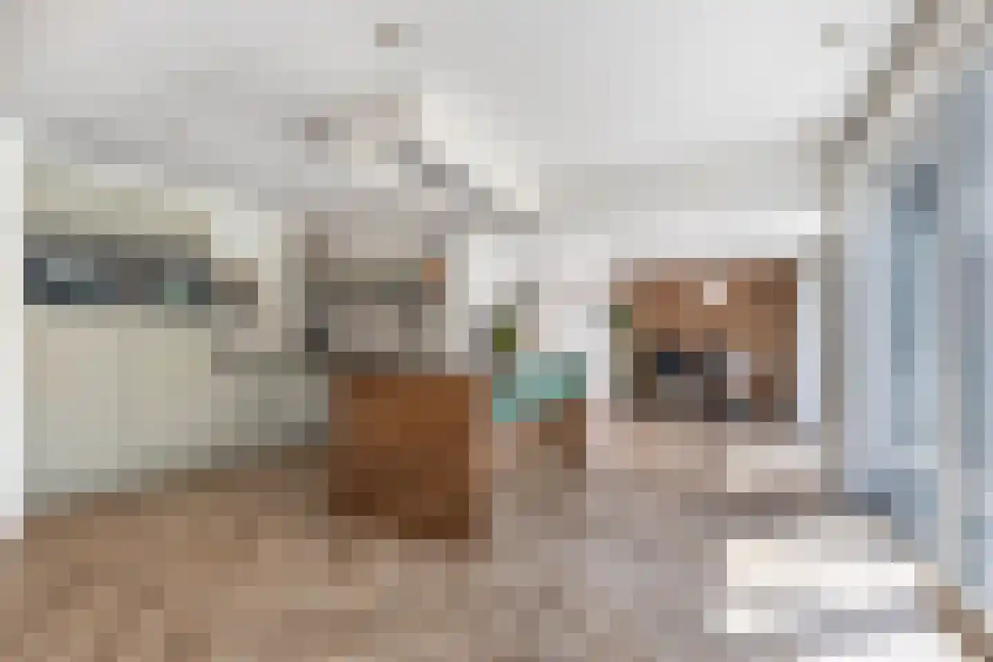 Kaspischestraat 14 Emmeloord thumbnail 10