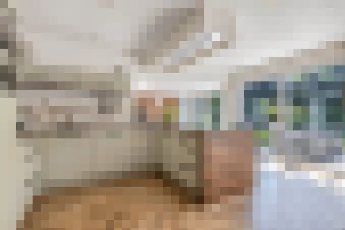 Kaspischestraat 14 Emmeloord thumbnail 11