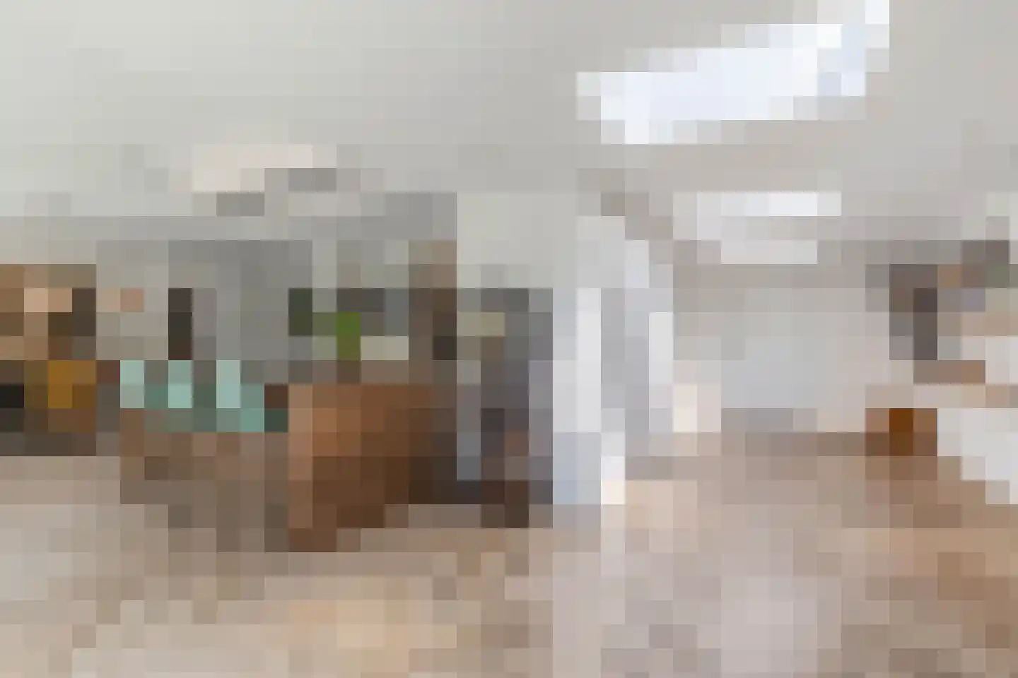 Kaspischestraat 14 Emmeloord thumbnail 13