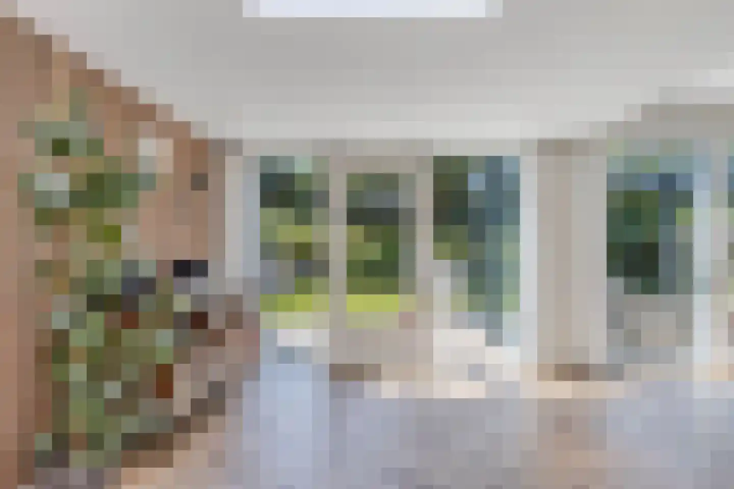 Kaspischestraat 14 Emmeloord thumbnail 15