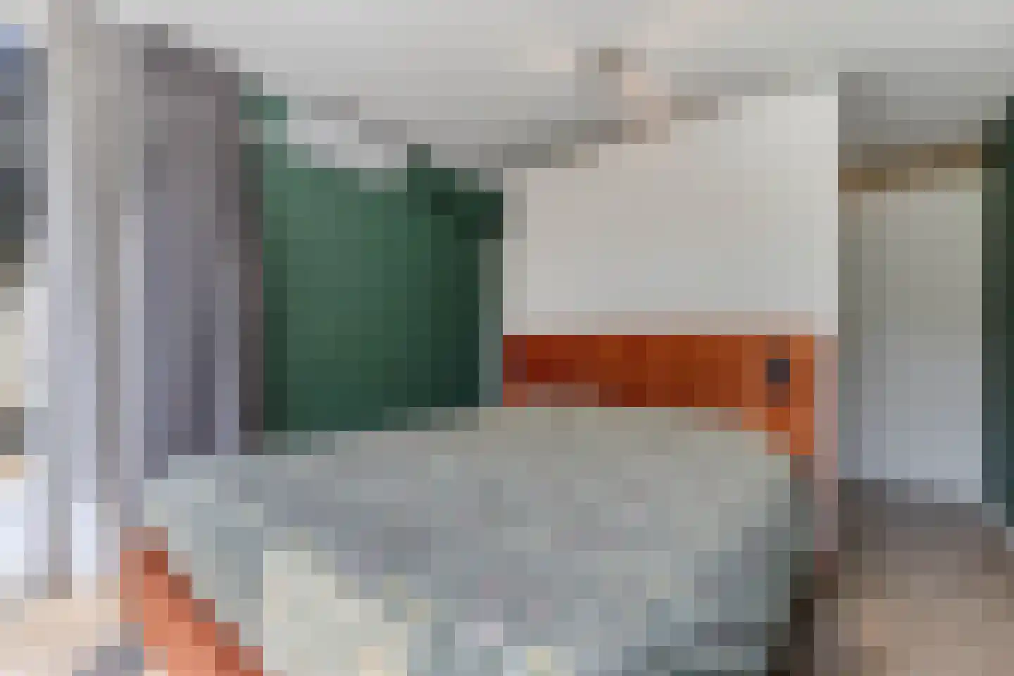 Kaspischestraat 14 Emmeloord thumbnail 19