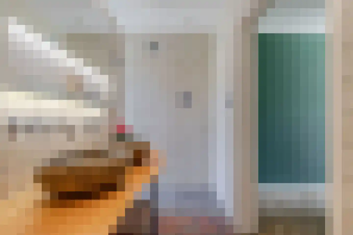 Kaspischestraat 14 Emmeloord thumbnail 21