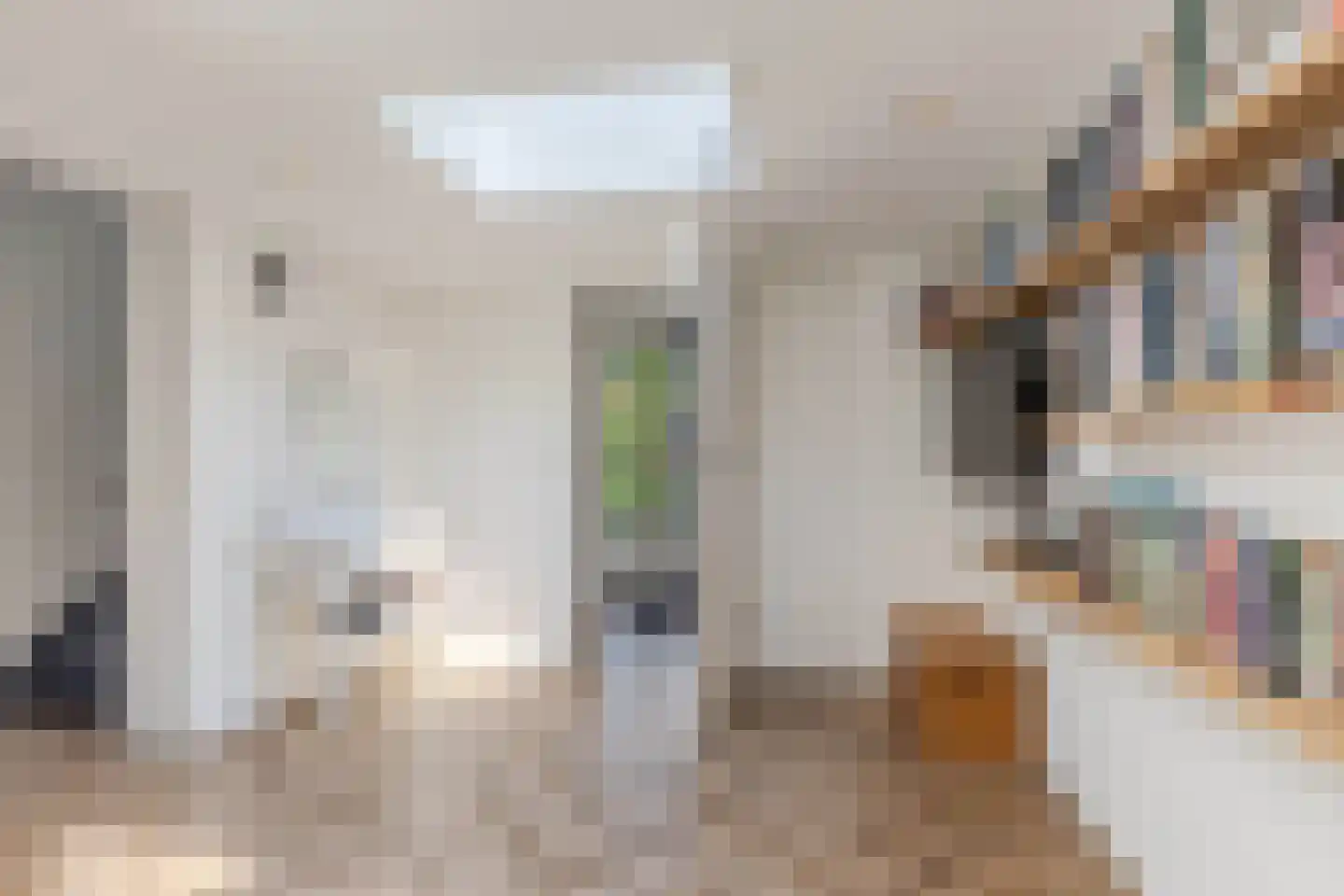 Kaspischestraat 14 Emmeloord thumbnail 24