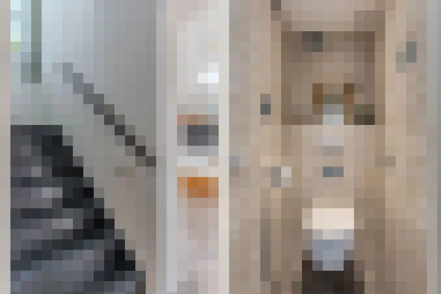 Kaspischestraat 14 Emmeloord thumbnail 25