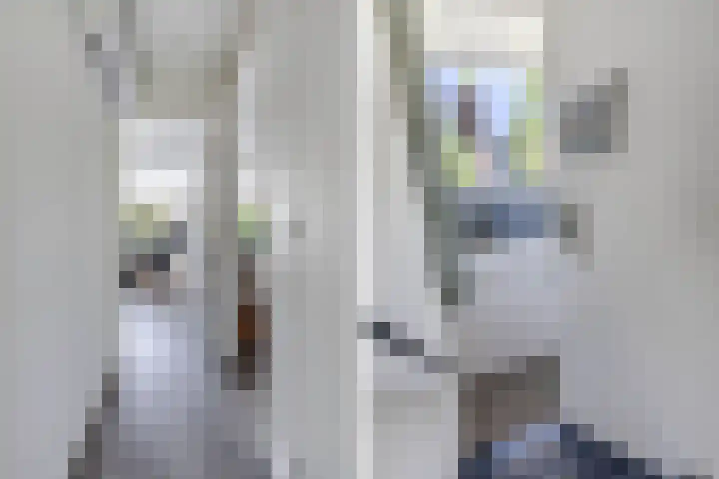 Kaspischestraat 14 Emmeloord thumbnail 36