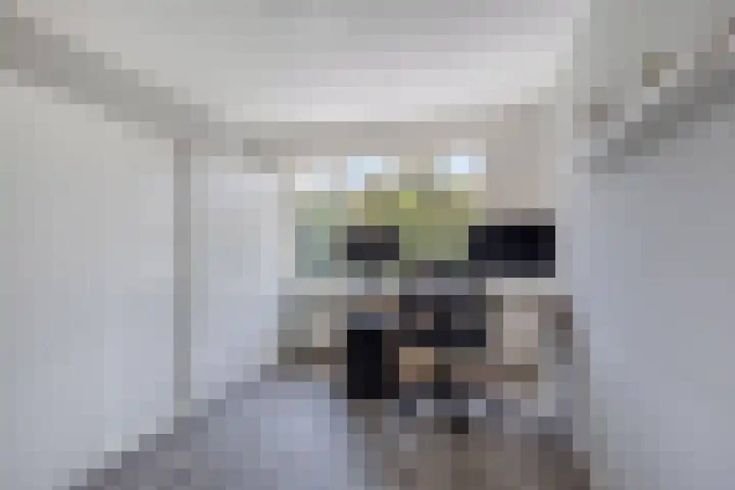 Kaspischestraat 14 Emmeloord thumbnail 37