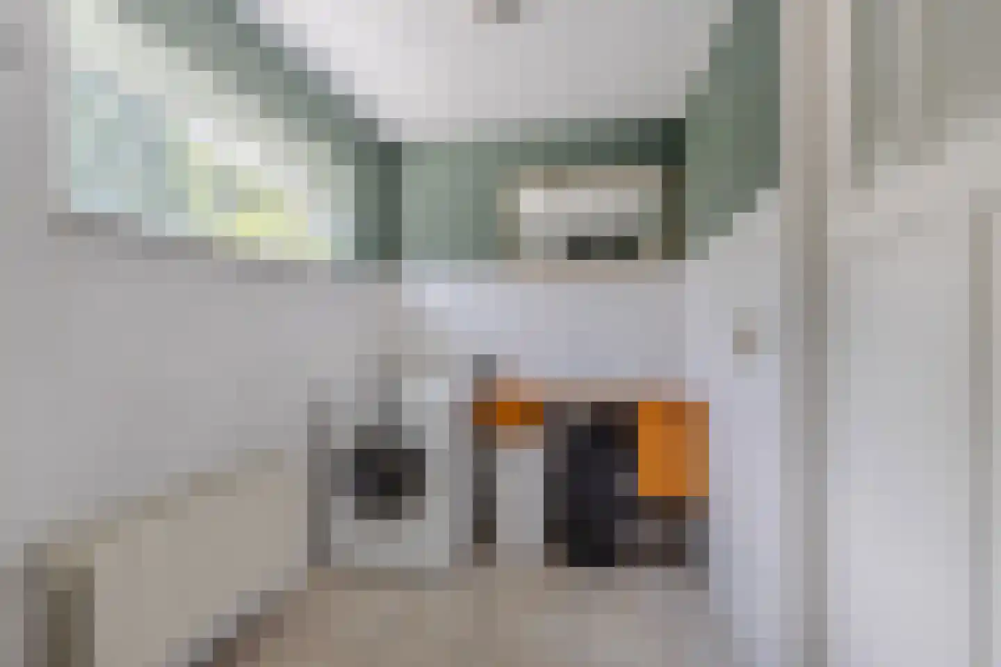 Kaspischestraat 14 Emmeloord thumbnail 39