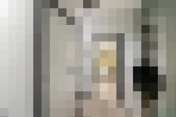 Kaspischestraat 8 Emmeloord thumbnail 12