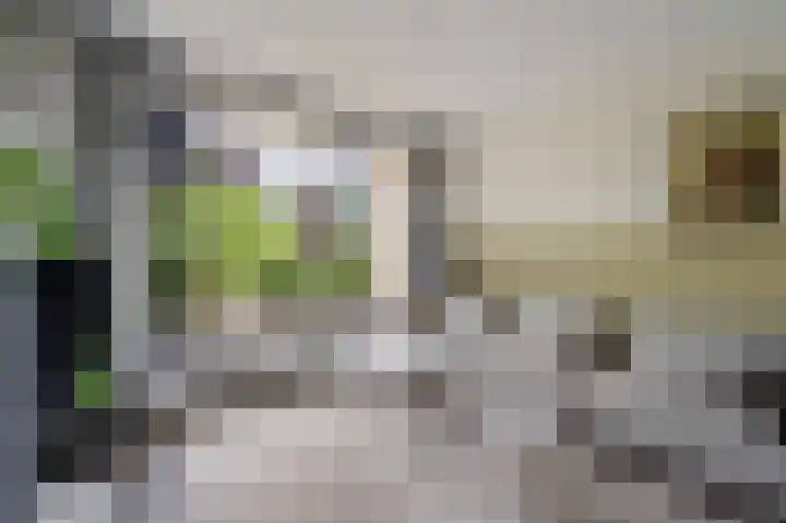 Kaspischestraat 8 Emmeloord thumbnail 15