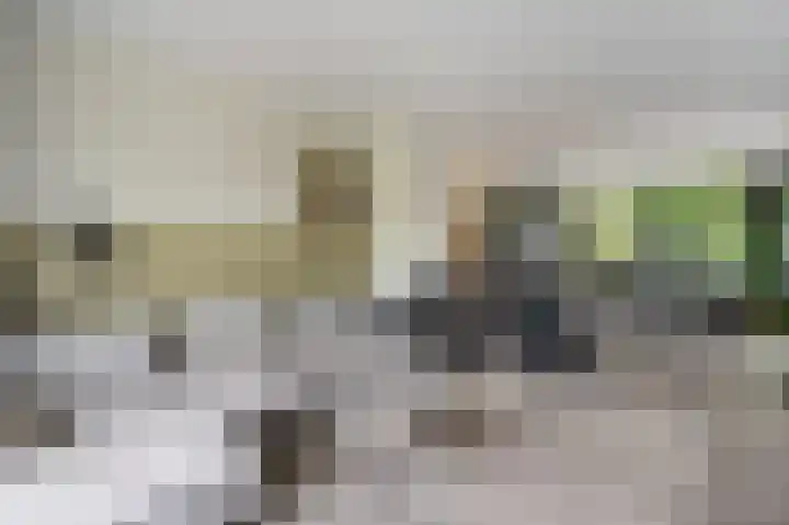 Kaspischestraat 8 Emmeloord thumbnail 16