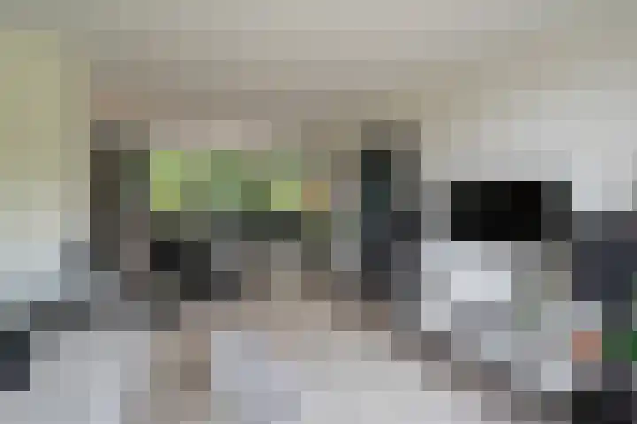 Kaspischestraat 8 Emmeloord thumbnail 18