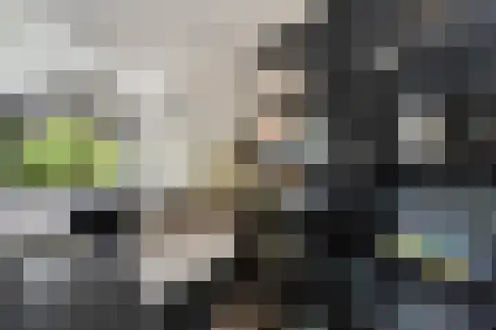 Kaspischestraat 8 Emmeloord thumbnail 22
