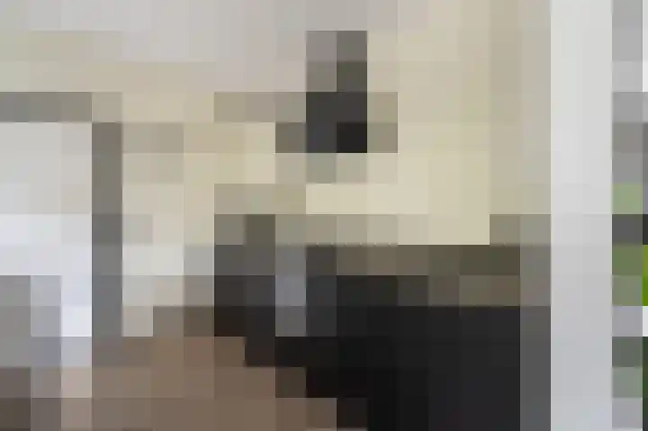 Kaspischestraat 8 Emmeloord thumbnail 23