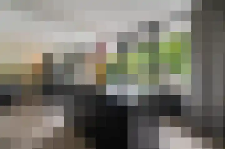 Kaspischestraat 8 Emmeloord thumbnail 25