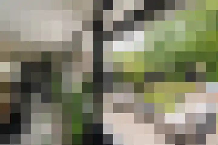 Kaspischestraat 8 Emmeloord thumbnail 27