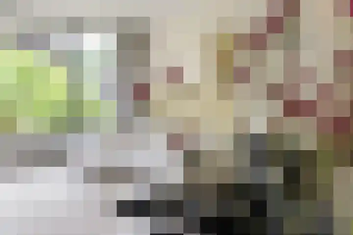 Kaspischestraat 8 Emmeloord thumbnail 28