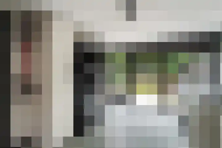 Kaspischestraat 8 Emmeloord thumbnail 30