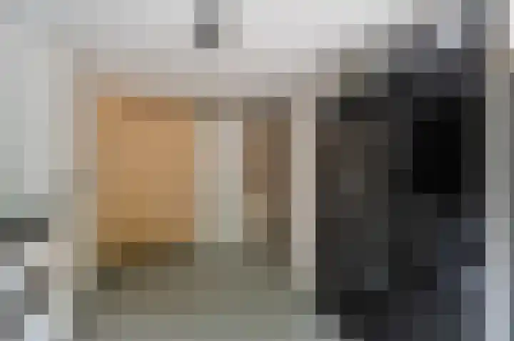 Kaspischestraat 8 Emmeloord thumbnail 31