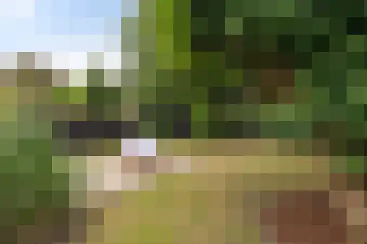 Kaspischestraat 8 Emmeloord thumbnail 37