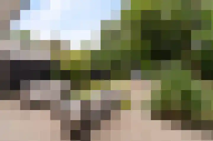 Kaspischestraat 8 Emmeloord thumbnail 38