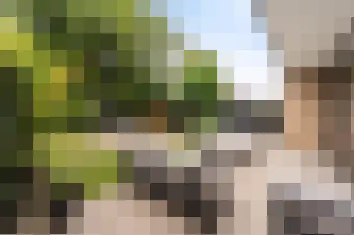Kaspischestraat 8 Emmeloord thumbnail 39