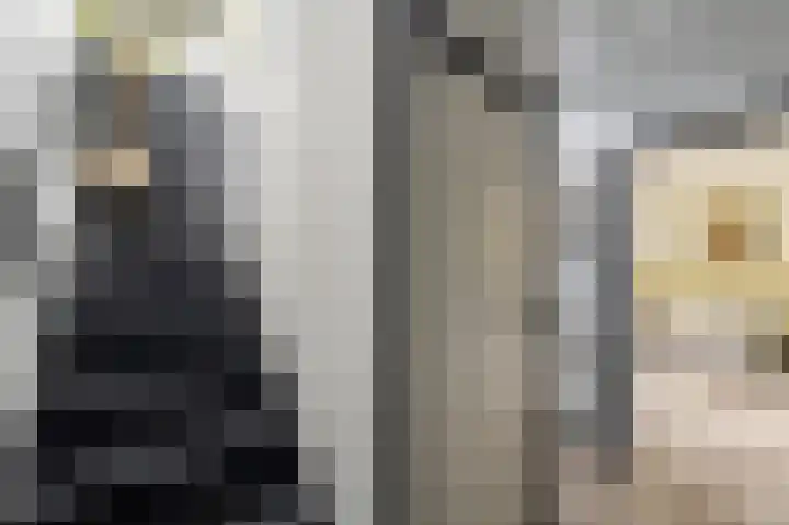 Kaspischestraat 8 Emmeloord thumbnail 45