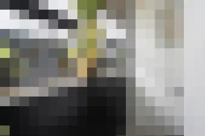 Kaspischestraat 8 Emmeloord thumbnail 46