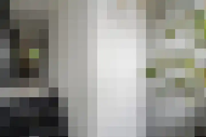 Kaspischestraat 8 Emmeloord thumbnail 47