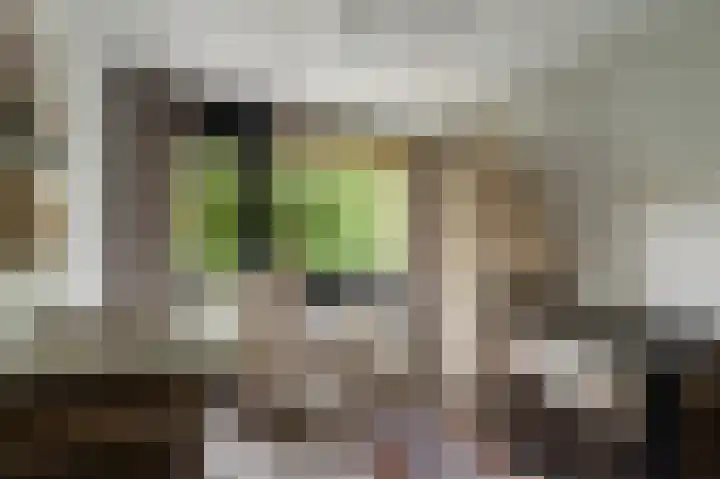 Kaspischestraat 8 Emmeloord thumbnail 50